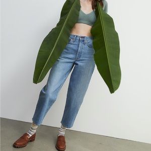 Madewell Balloon Jeans in Whistler